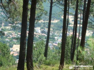 Pinares de Piedralaves;rutas en la pedriza la horizontal caminatas